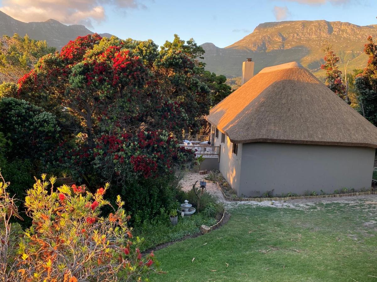 Wild Rose Country Lodge Noordhoek Buitenkant foto